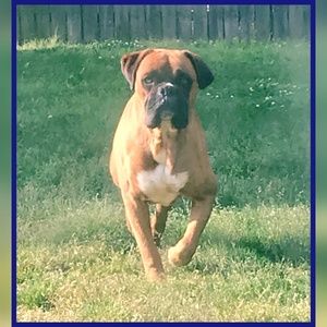 Meet your Posher, Shadell